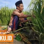 IMG 20200322 155238 01 Scaled