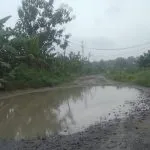 WhatsApp Image 2020 04 05 At 09.09.12