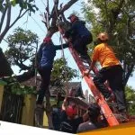 Warga Bojonegoro Tersengat Listrik