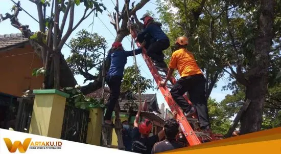 Warga Bojonegoro Tersengat Listrik
