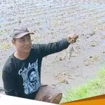 Targetkan Tikus 25.000 Dalam Satu Minggu Kompetisi Tangkap Tikus