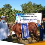 DPD NasDem Bojonegoro Salurkan 2 Sapi Dan 25 Kambing