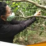 Kebun Jeruk Trucuk Potensi Agro Wisata