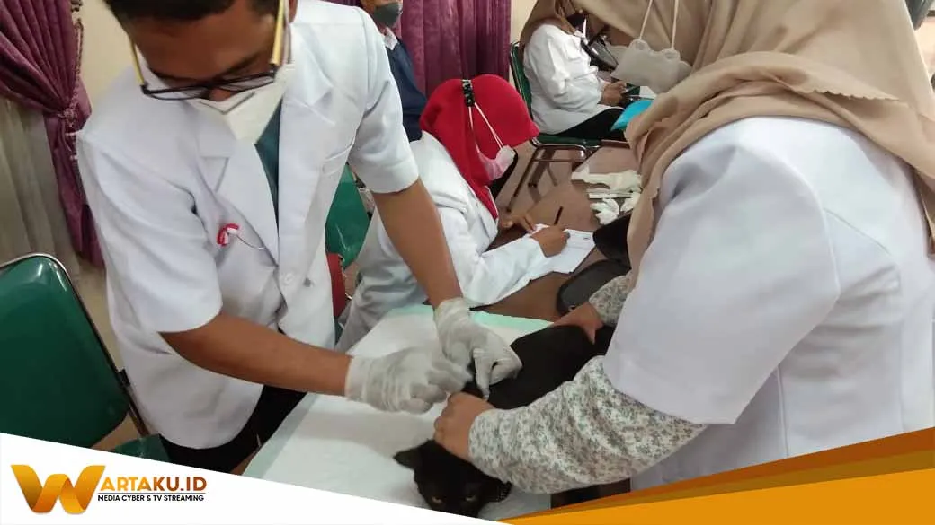 Peringati Hari Rabies Disnakan Bojonegoro Gelar Vaksinasi Rabies Untuk 250 Hewan 1 Peringati Hari Rabies Disnakan Bojonegoro Gelar Vaksinasi Rabies Untuk 250 Hewan 1