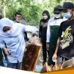 Bupati Bojonegoro Kunjungi Panen Serta Perkenalkan Produk Madu Lokal Bojonegoro Bupati Bojonegoro Kunjungi Panen Serta Perkenalkan Produk Madu Lokal Bojonegoro