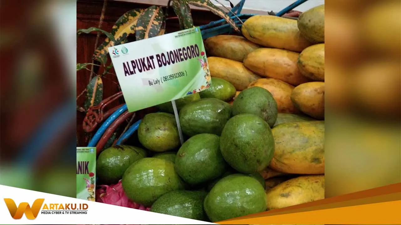 Gubernur Jatim Promosikan Buah Lokal Bojonegoro Saat Bertemu Konsulat Asing 2