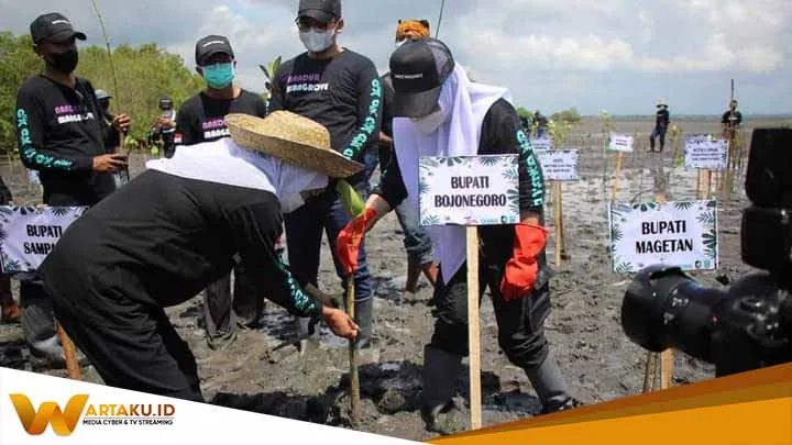 Lestarikan Ekosistem Hayati Anna Mu'awanah Ikut Nandur Mangrove Lestarikan Ekosistem Hayati Anna Muawanah Ikut Nandur Mangrove