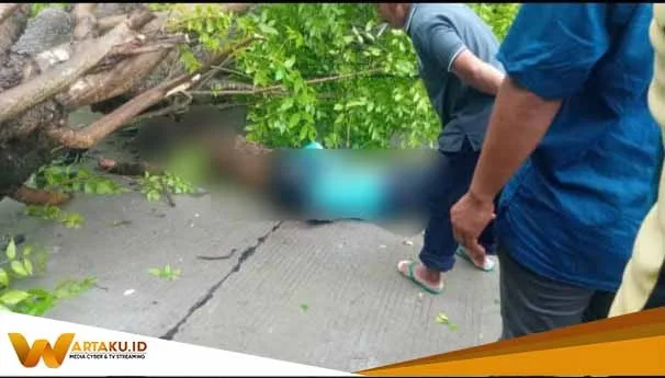 Dua Orang Tertimpa Pohon Di Desa Pohwates Kec. Kepohbaru Satu Meninggal