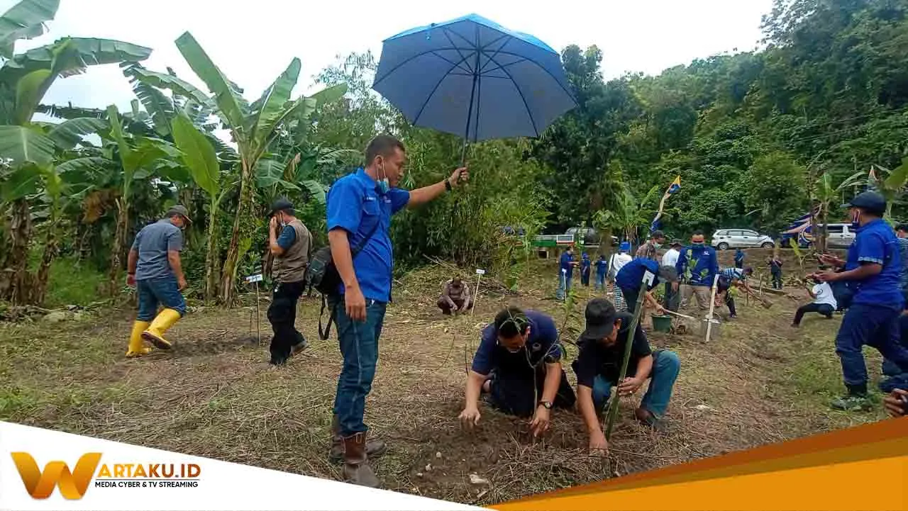 Kang Yoto Nasdem Tanam 1400 Pohon Di Bojonegoro