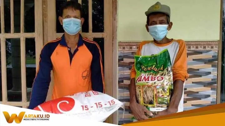 Siap Tanam Poktan Di Bojonegoro Telah Terima Bantuan Bibit Padi Dan Pupuk