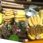 Akibat Lock Down Warga Pilangede Untung Ratusan Juta Dari Bertani Pisang Chavendish 2