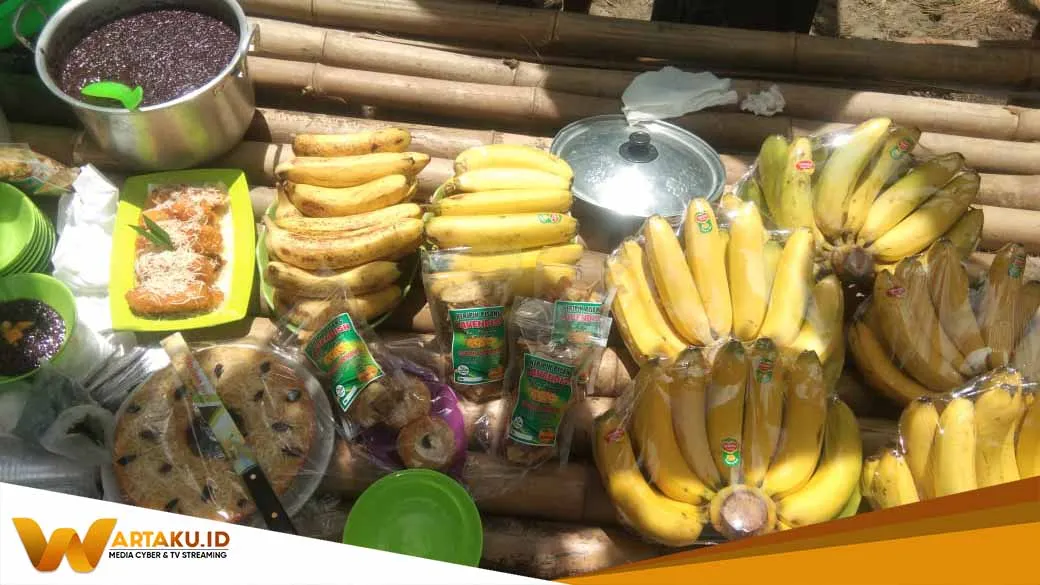 Akibat Lock Down Warga Pilangede Untung Ratusan Juta Dari Bertani Pisang Chavendish 2