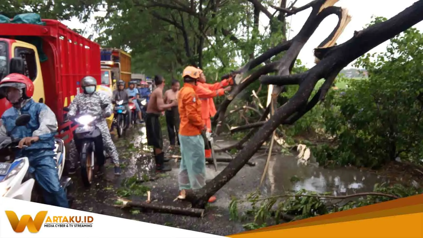 Hujan Disertai Angin Sebabkan Pohon Tumbang Di Jalan Nasional Babat Bojonegoro 1