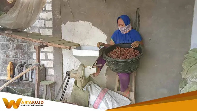 Olah Daun Untuk Serbut Herbal Sunardi Beromset Puluhan Juta 2
