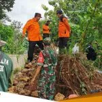 Bupati Tuban Instruksikan BPBD Segera Lakukan Perbaikan Tanggul