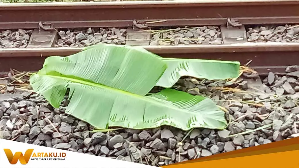 Hendak Pulang Di Tengah Hujan Deras Warga Kalitidu Tersambar Kereta 2