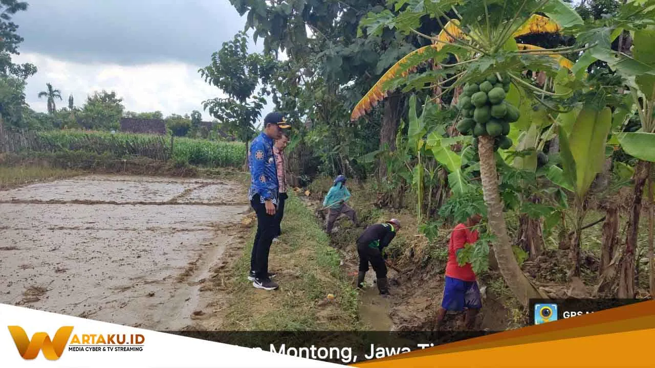 Penanganan Banjir di Montong DPRD Tuban Desak Gunakan Alat Berat Penanganan Banjir Di Montong DPRD Tuban Desak Gunakan Alat Berat