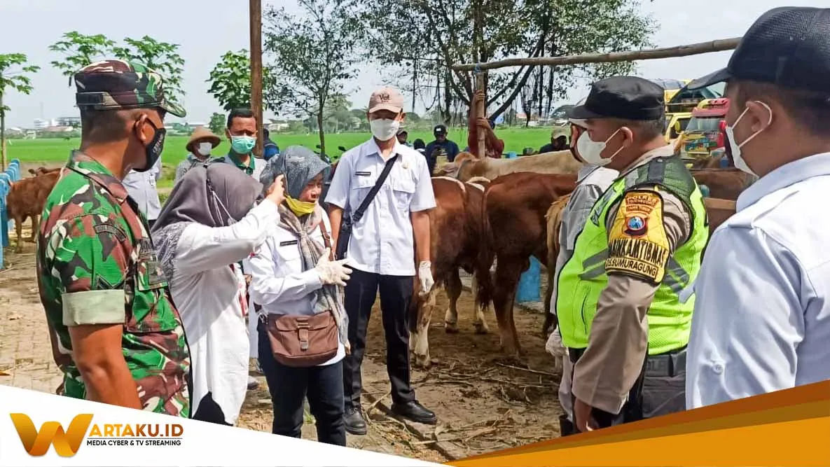 Antisipasi Sebaran Virus PMK Petugas Gabungan Di Sumberrejo Bojonegoro Cek Hewan Ternak Sapi