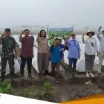 Bupati Bojonegoro Salurkan Bantuan Bibit Tembakau, Minta DKPP Kawal Hingga Panen Bupati Bojonegoro Salurkan Bantuan Bibit Tembakau Minta DKPP Kawal Hingga Panen
