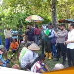 Awalnya Menolak Masyarakat Desa Hutan Terima Program Agro Tebu Mandiri Perhutani Bojonegoro