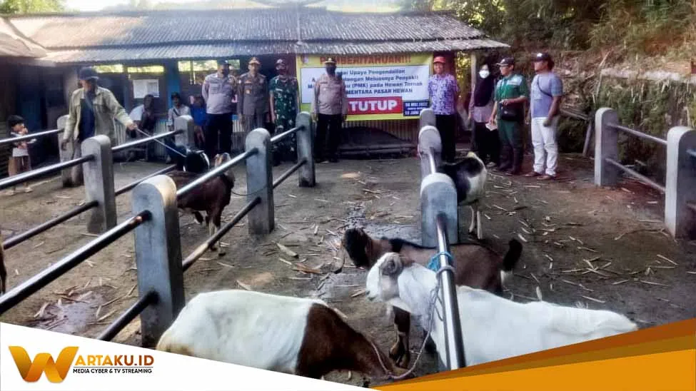 Petugas Gabungan Di Sekar Bojonegoro Sosialisasi Pencegahan Virus PMK