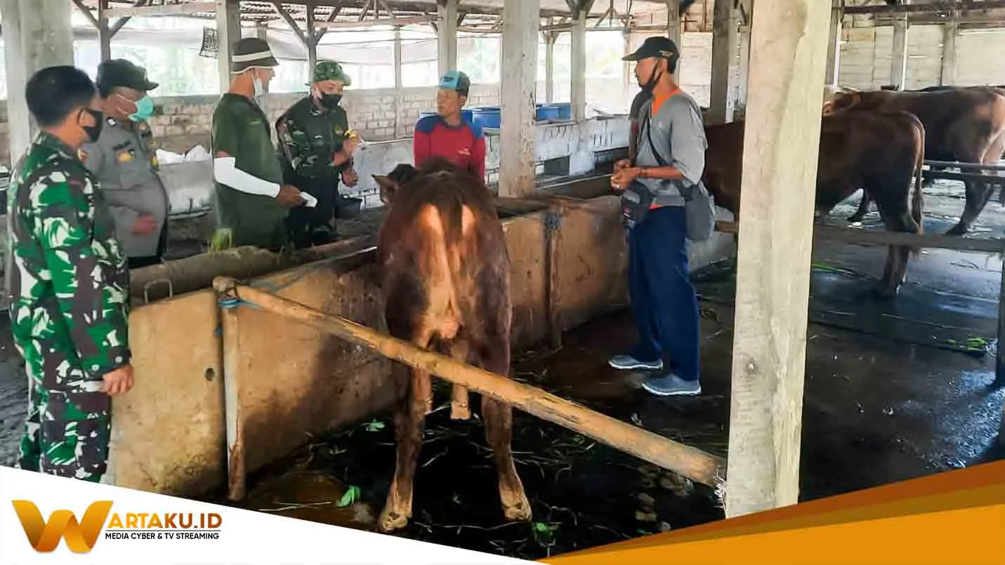 Babinsa Koramil Kanor Bojonegoro Dampingi Petugas Vaksinasi Hewan Ternak Babinsa Koramil Kanor Bojonegoro Dampingi Petugas Vaksinasi Hewan Ternak