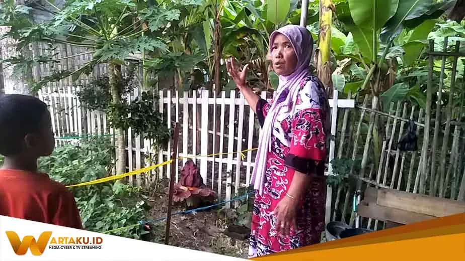 Bunga Bangkai Tumbuh Di Pekarangan Rumah Warga Bojonegoro 2