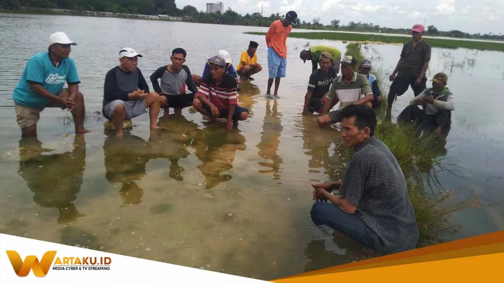 Hasil Musyarawarah Petani Sukorejo Yang Padinya Terendam Banjir Dikirim Hari Ini