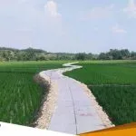Pemkab Bojonegoro Bangun 30806 Meter Jalan Usaha Tani Tingkatkan Hasil Pertanian