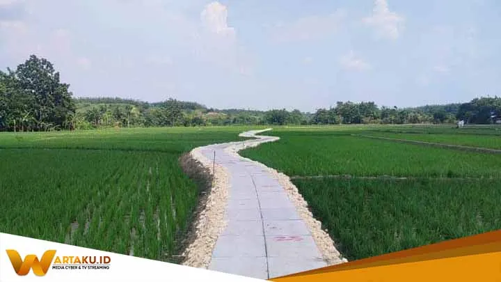 Pemkab Bojonegoro Bangun 30806 Meter Jalan Usaha Tani Tingkatkan Hasil Pertanian