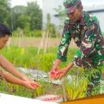 Kodim Bojonegoro Panen Perdana Cabai Merah Besar