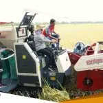 Panen Padi Dengan Combine Harvester Bersama Bupati Bojonegoro