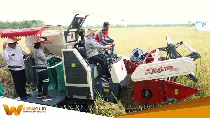 Panen Padi Dengan Combine Harvester Bersama Bupati Bojonegoro Panen Padi Dengan Combine Harvester Bersama Bupati Bojonegoro