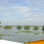 Tak Kuat Menahan Debit Air Tanggul Kali Avour Di Borno Jebol