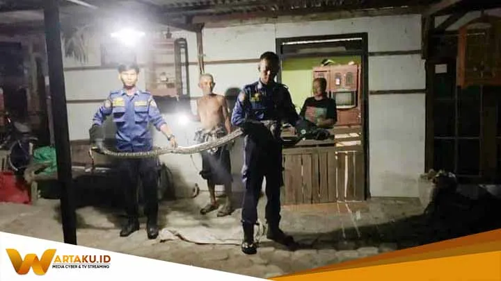 Waspadai Sarang Ular Dinas Damkar Bojonegoro Imbau Warga Jaga Kebersihan Lingkungan