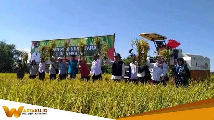 Jadi Lumbung Pangan Nasional Pemkab Dan Kementan Panen Raya Di Bojonegoro