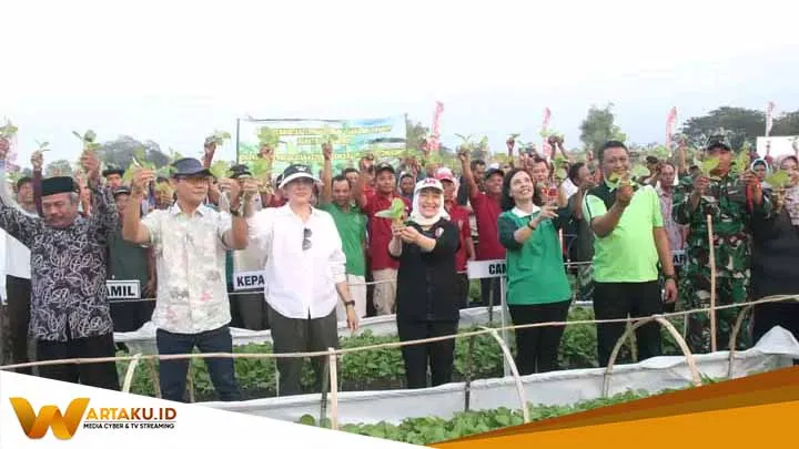 Bupati Bojonegoro Serahkan Bibit Tembakau kepada Petani, Berharap Bisa Panen Melimpah Bupati Bojonegoro Serahkan Bibit Tembakau Kepada Petani Berharap Bisa Panen Melimpah