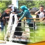 IMG 20240601 WA0003
