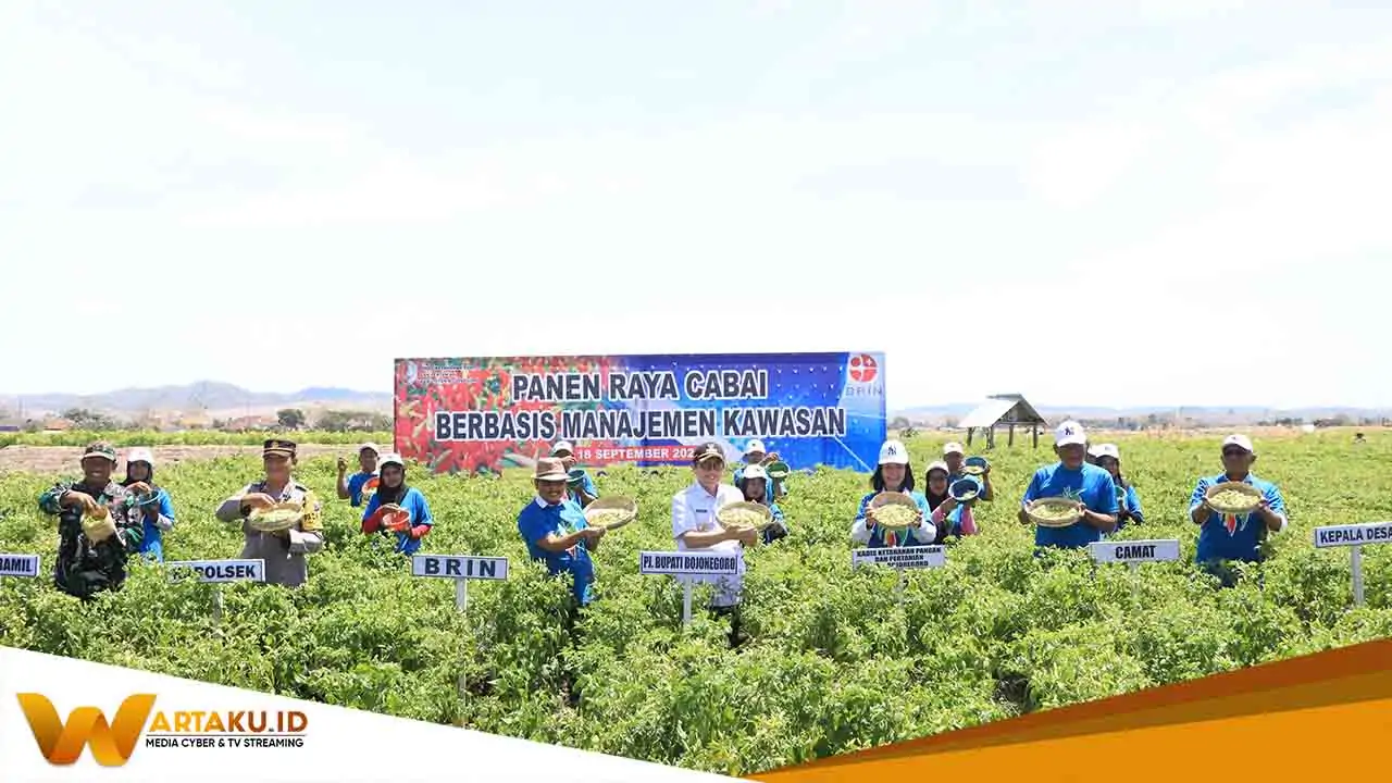 PJ Bupati Bojonegoro Melaksanakan Panen Raya Cabai Berbasis Manajemen Kawasan 1