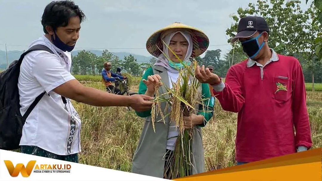 Farida Hidayati Soroti Suhu Ekstrem 37 Derajat Di Bojonegoro Tawarkan Solusi Konkret Dan Inovatif