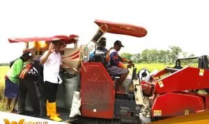 IMG-20251028-WA0013 IMG 20251028 WA0013